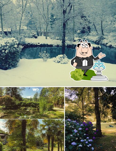 Ponderosa Relax