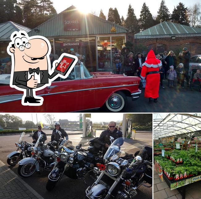 Squire's Garden Centre in Reigate Restaurant menu and reviews