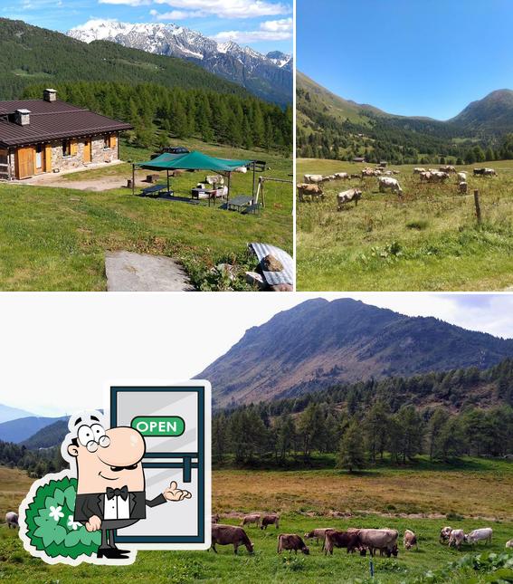 Gli esterni di Agriturismo Malga Mortirolo