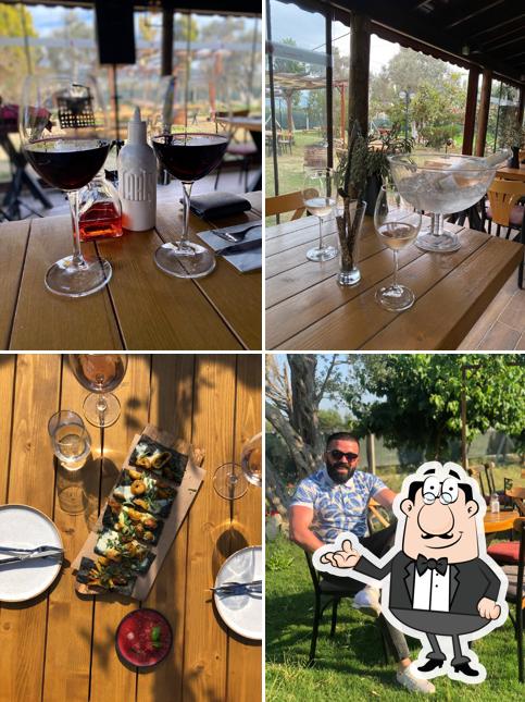 Wine House Urla, Urla Restaurant menu and reviews