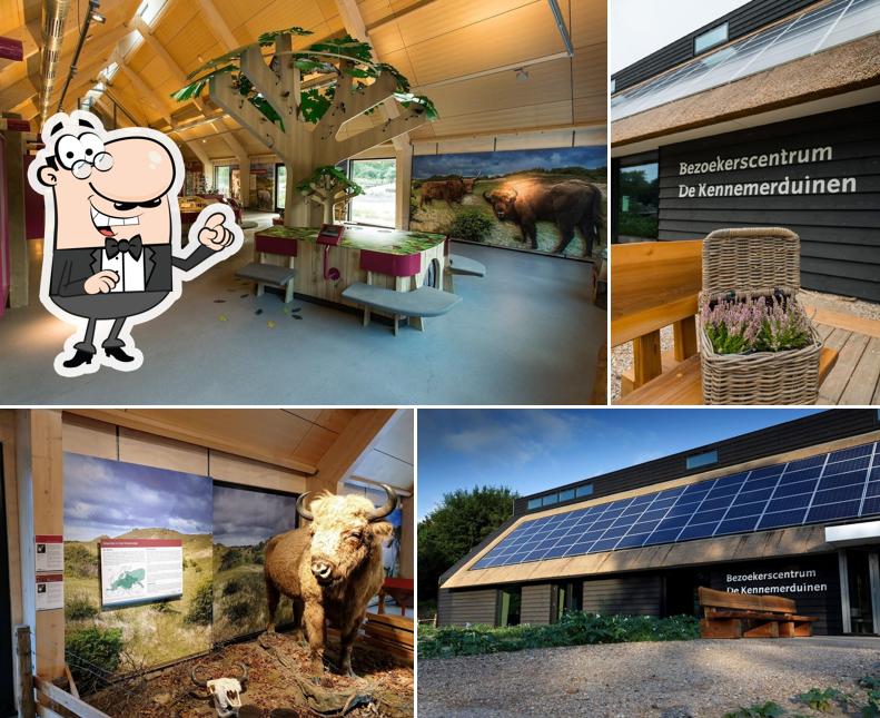 Bezoekerscentrum De Kennemerduinen