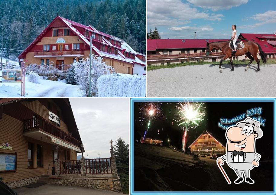 Horský hotel -Penzion GEJDAK