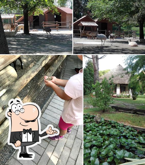 Dai un'occhiata agli interni di Bar Self-service Parco Zoo Punta Verde