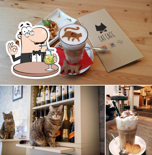 Cat Cafe, Vilnius Restaurant menu and reviews