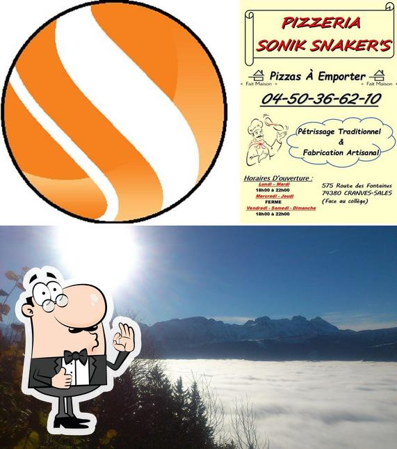 Sonik Snaker's