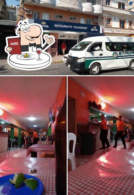 Los Mejores Pubs Y Bares En Villahermosa Enero Restaurant Guru