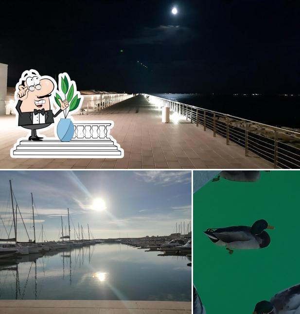 Guarda gli esterni di Flamingo
