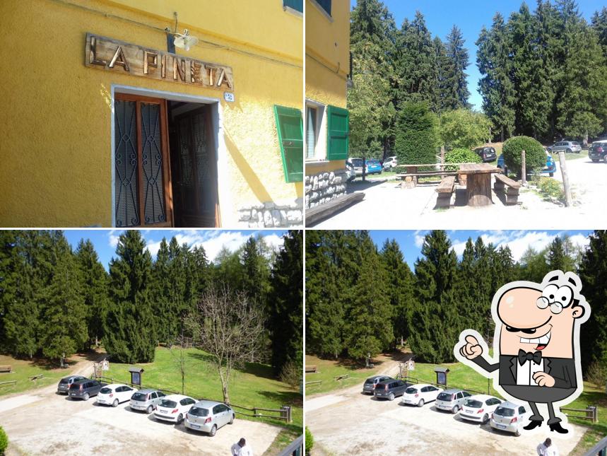 Trattoria La Pineta