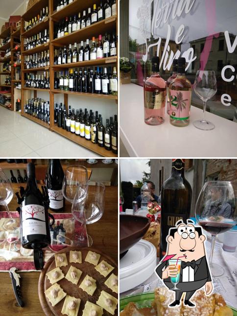 Enoteca Terra e Vino