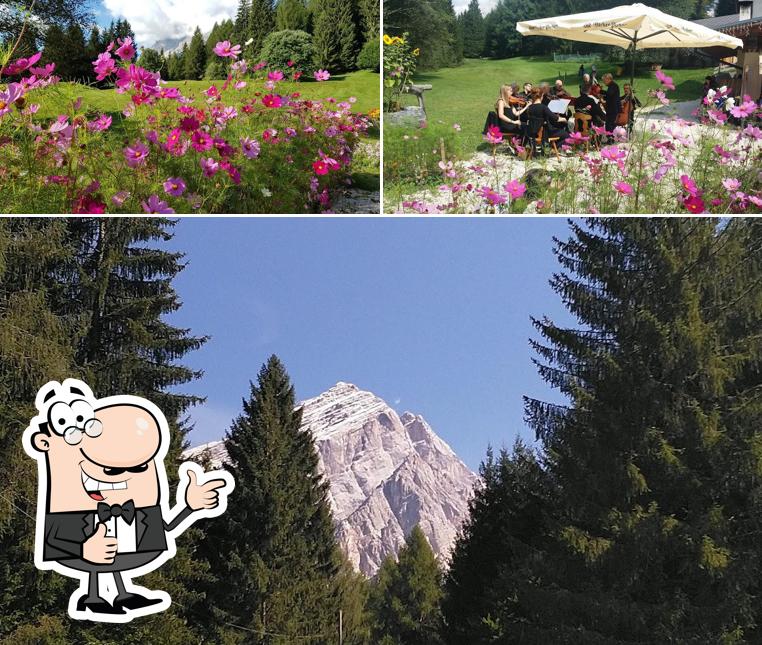 Vedi la immagine di Ristorante "Rifugio Senes"