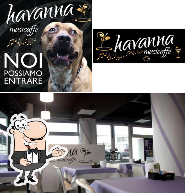 Ecco una foto di Havanna Musicaffè