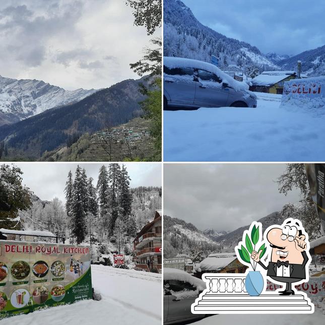 Delhi Royal Hospitality