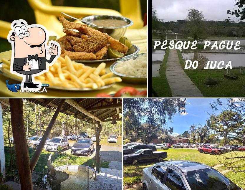 Here's a picture of Pesque Pague do Juca