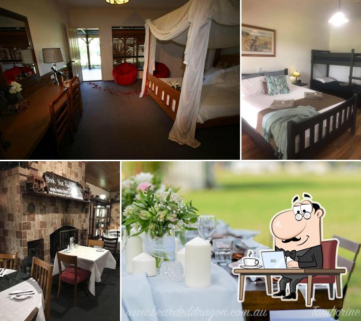 Bearded Dragon Hotel Tamborine in Tamborine Restaurant menu and reviews