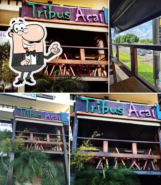 Tribus Açaí