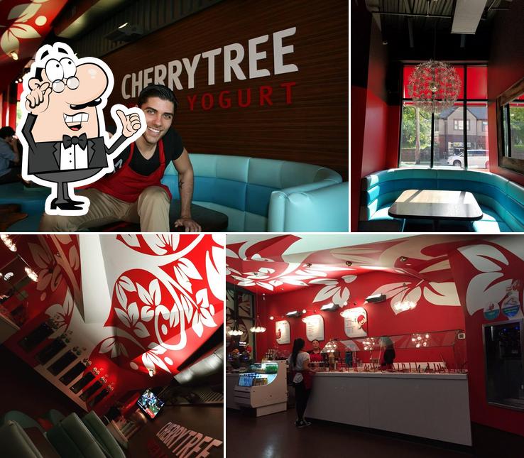 Cherry Tree Frozen Yogurt in Mamaroneck Restaurant reviews
