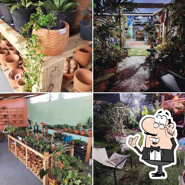 Jardim Encantado • Garden e Cafeteria