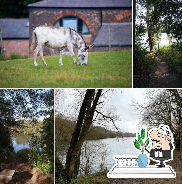 Clifton Country Park Cafe in Manchester Restaurant reviews