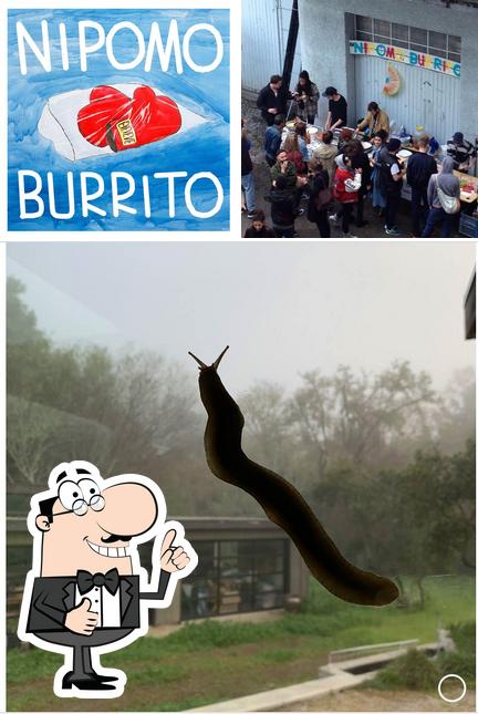 Ecco un'immagine di Nipomo Burrito