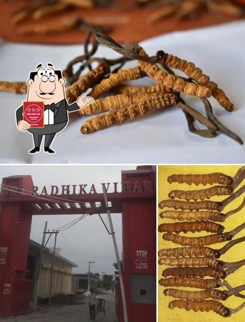 Shiri Radhika Vihar coloney