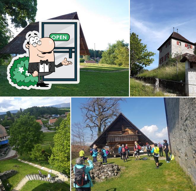 Schloss Buchegg