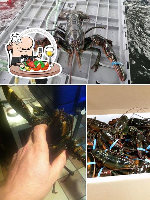 Canadian Lobster Shippers