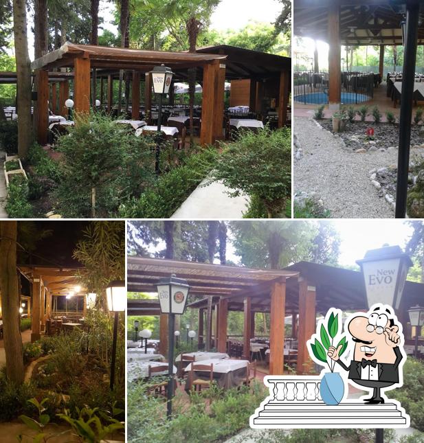 Ristorante Pizzeria New Evo