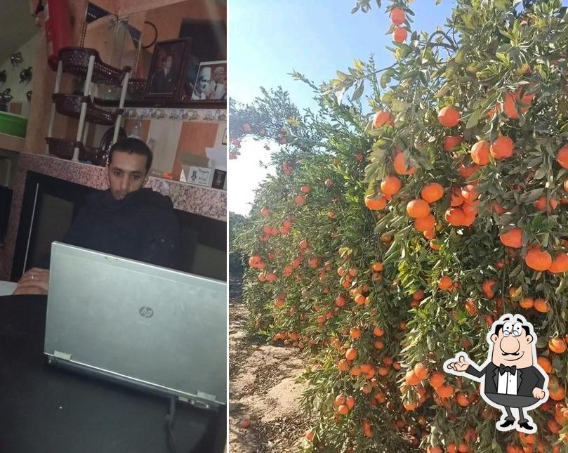 مقهى حريمة