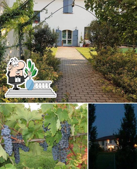 Agriturismo Fattoria Corte Roeli