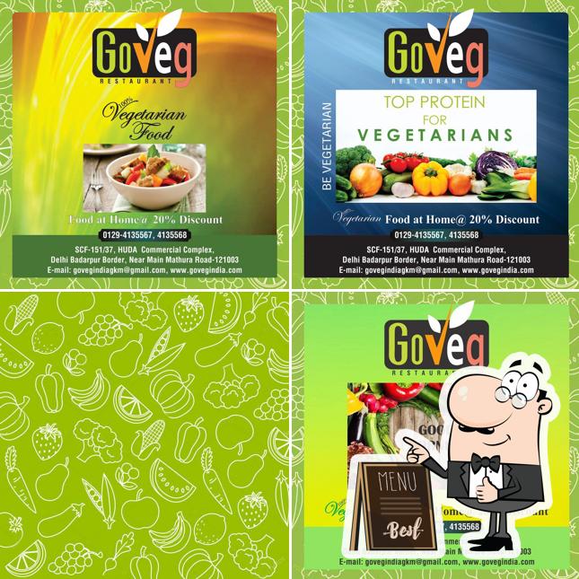 Go Veg India Restaurant picture