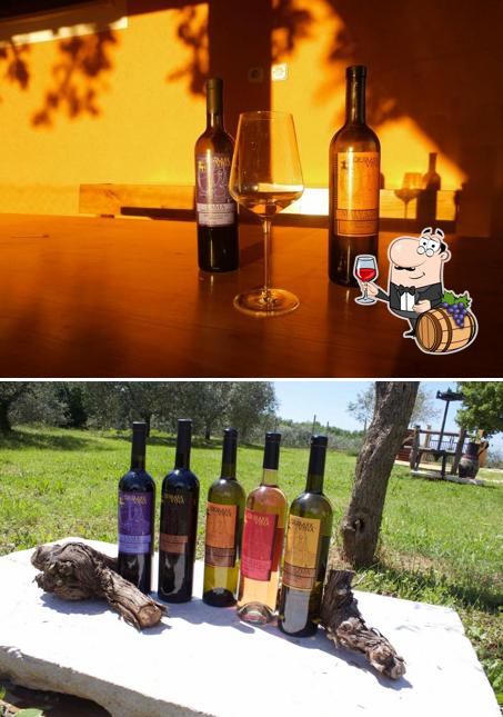 È gradevole bersi un bicchiere di vino a VINA DEMARK Novigrad