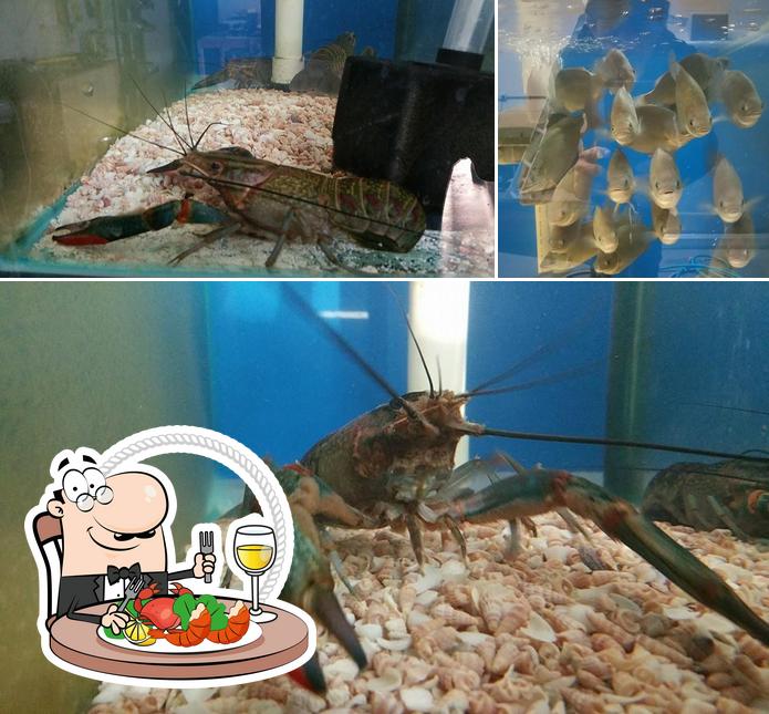 Live Australian Seafood in Gold Coast