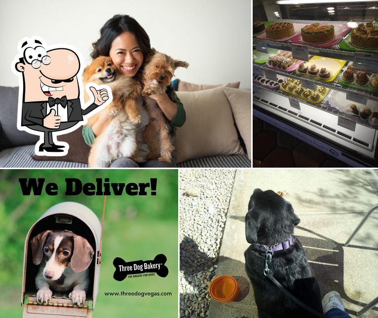 Three Dog Bakery in Las Vegas
