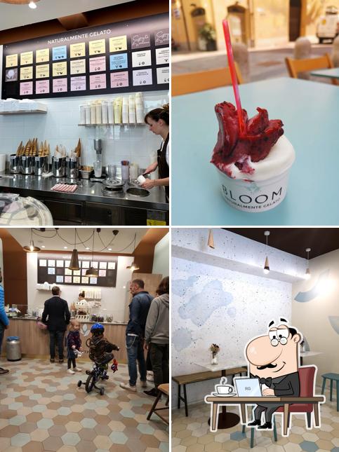 Dai un'occhiata agli interni di Gelateria Bloom - Via Taglio (MO)