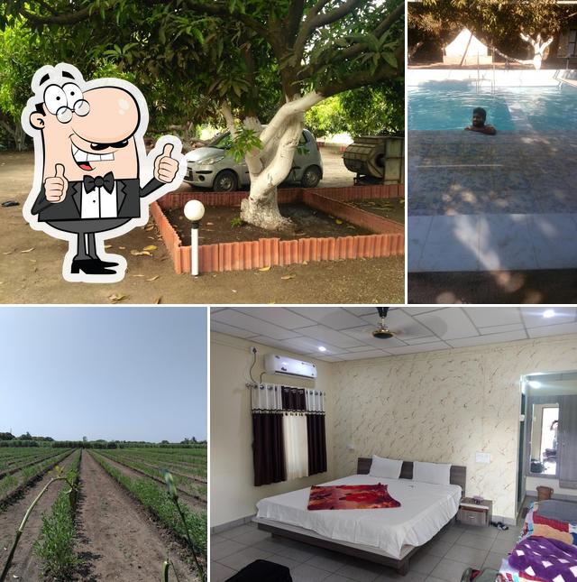 aasapura farm house