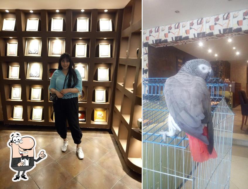 rio-restaurant-cafe-new-cairo-city-restaurant-menu-prices-and-reviews