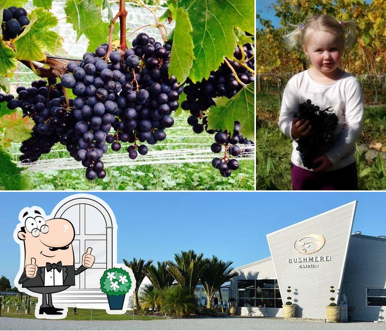 Bushmere Estate, Gisborne - Restaurant menu, prices and r…