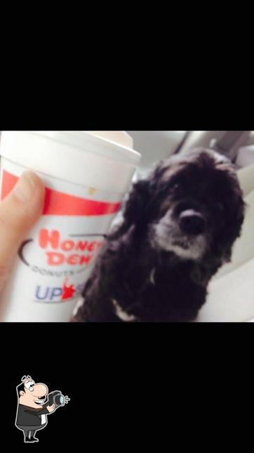 Honey Dew Donuts in Norton Restaurant menu and reviews