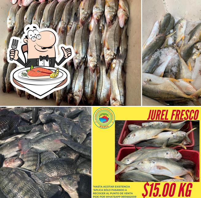 Distribuidora de Pescados y Mariscos 