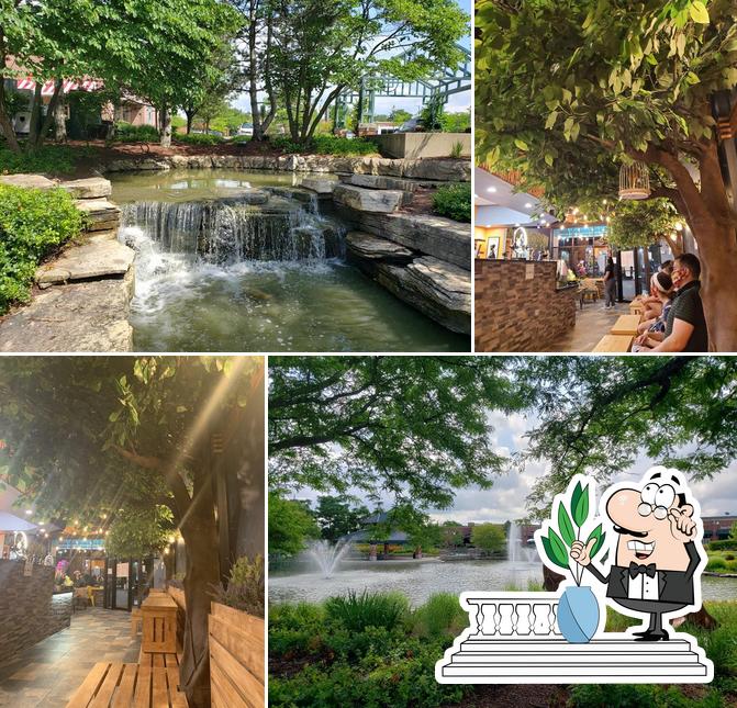 Umbrella Tea House in Schaumburg Restaurant menu and reviews