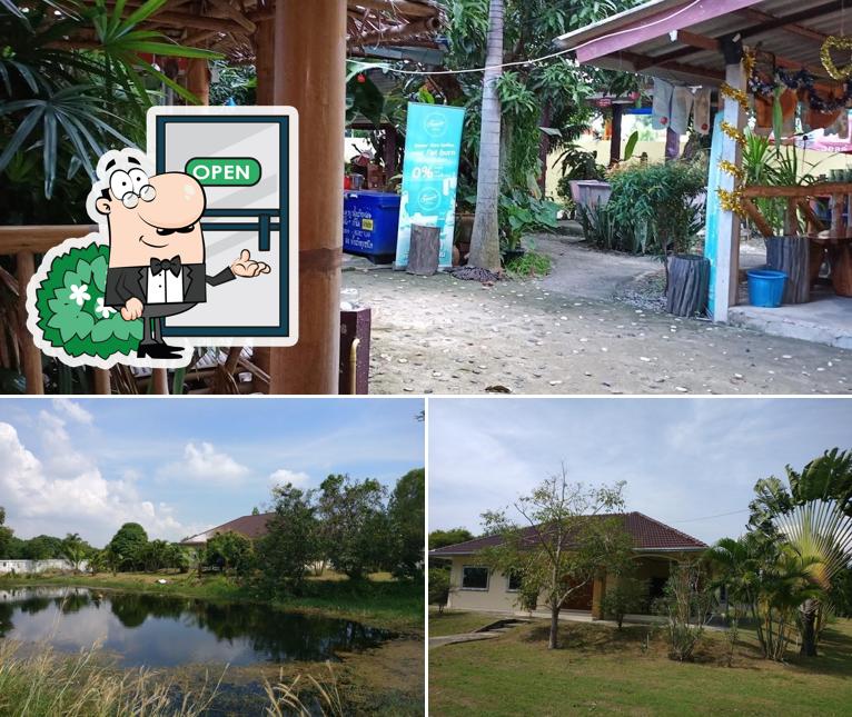 Lettuce Shop restaurant, Ban Laeng Restaurant reviews