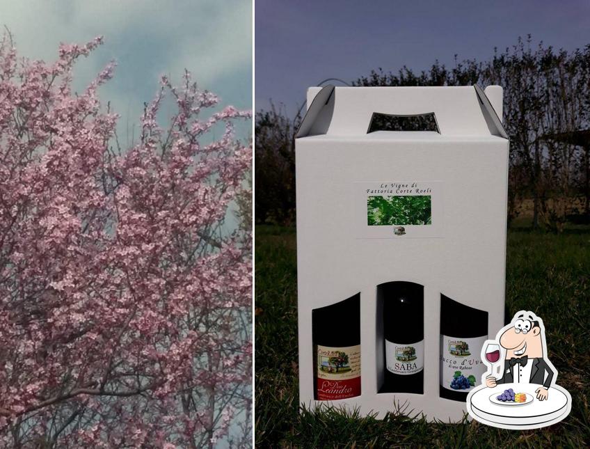 Degusta un bicchiere di vino a Corte Roeli Malalbergo