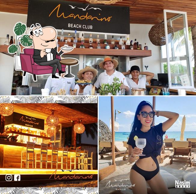 mandarino beach club playa del carmen