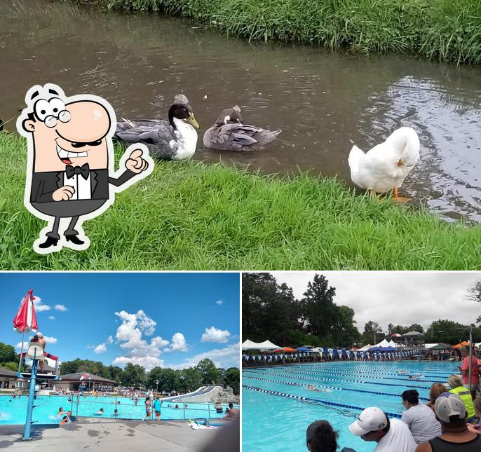 Springbrook Pool in Alcoa Restaurant reviews