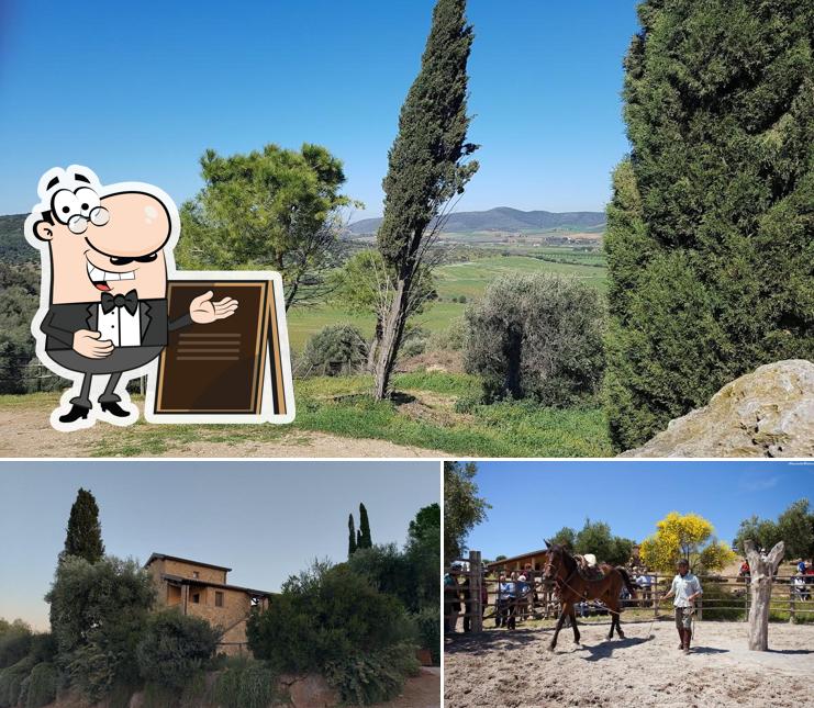 Guarda gli esterni di Agriturismo Buratta