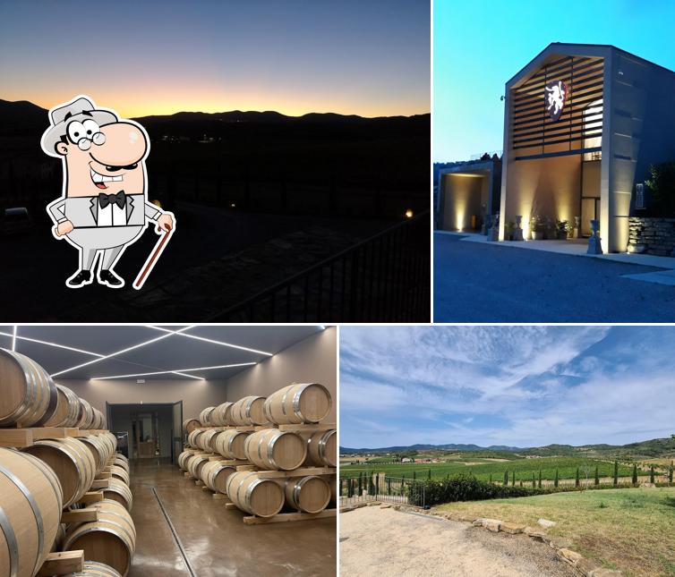 Tenuta Dodici