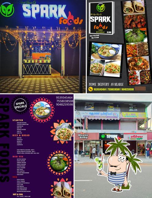 SPARK FOODS