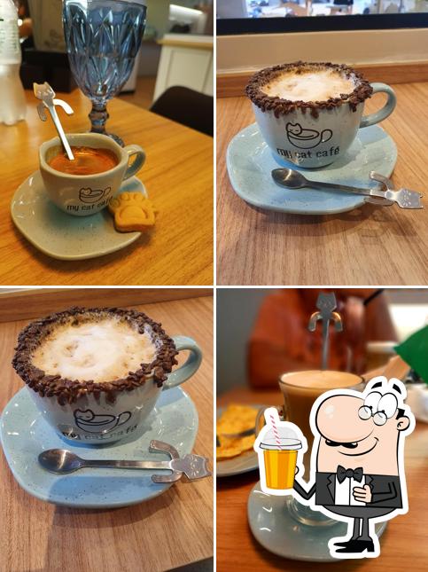 My Cat Café