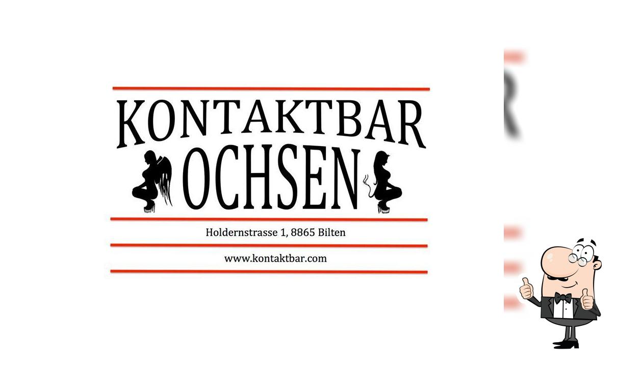 Kontaktbar Ochsen Bilten