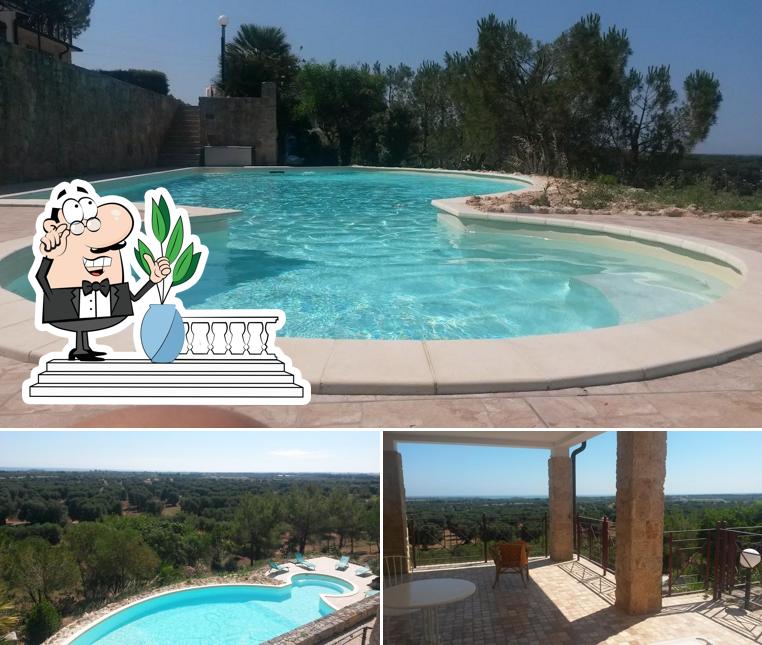 Curiosa tra l'area esterna di Agriturismo Masseria Le Terrazze di Serranova, Wellness SPA tra Ostuni, Brindisi, Torre Guaceto, Salento